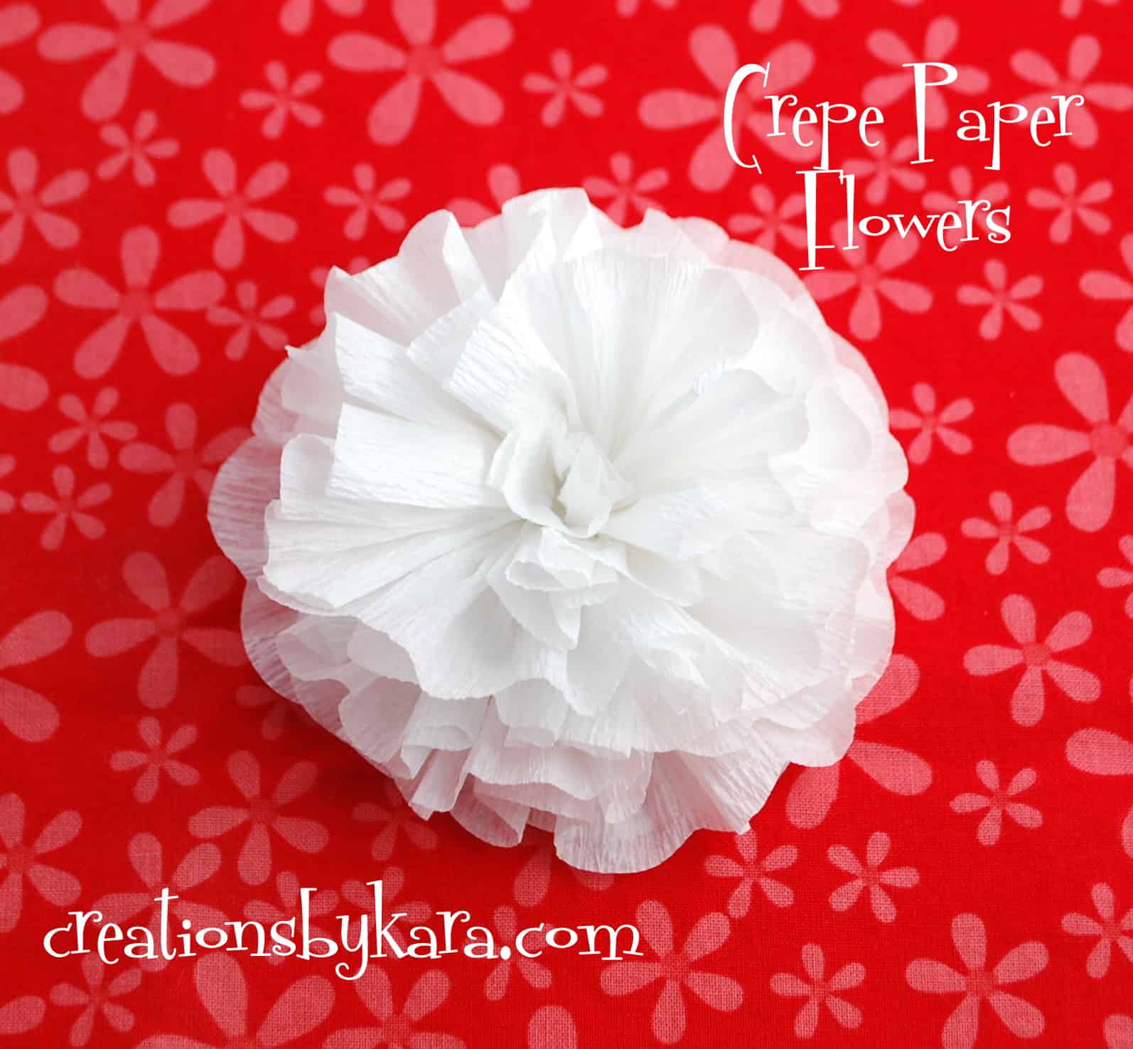 DIY Easy Crepe Paper Daisy Flower Video Tutorial
