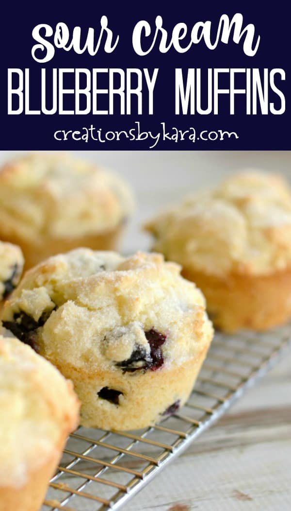 Sour Cream Blueberry Muffins - Creations by Kara