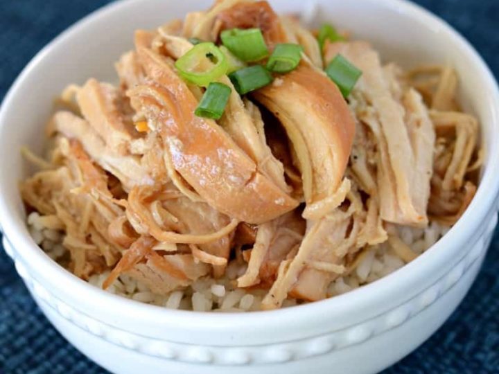 Spicy chicken and rice instant online pot