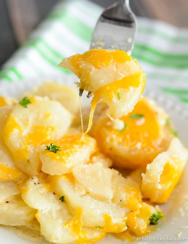 Crockpot Scalloped Potatoes {Easy & Creamy!} –