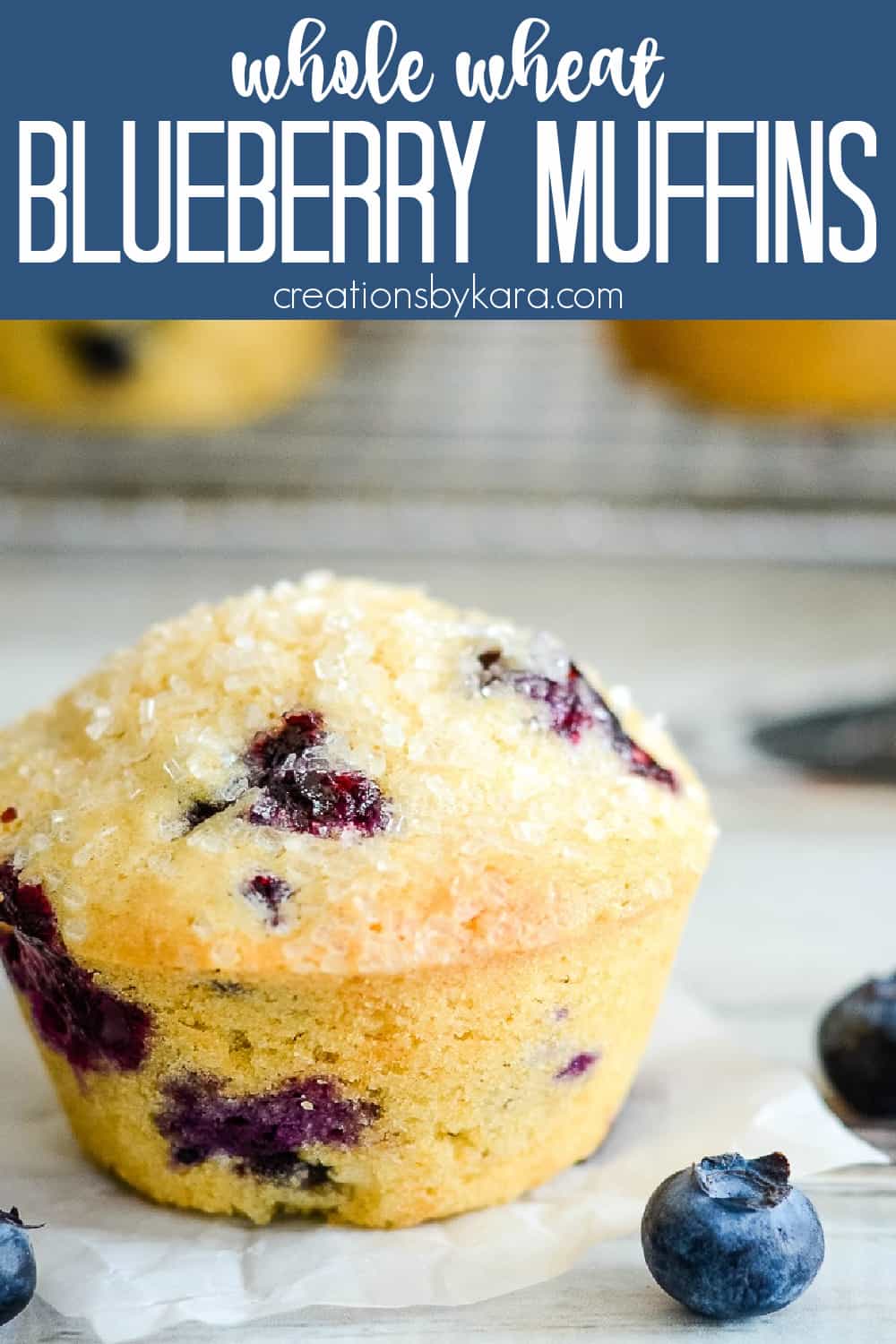 Whole Wheat Blueberry Muffins - Creations by Kara