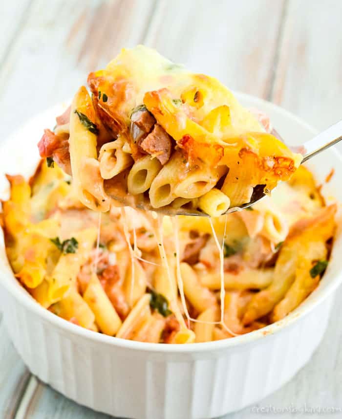 Hethstia Konjac Noodle Low Carb Pasta Shirataki Spaghetti – Pre-cooked and  Ready to Eat, Low Calorie, Gluten-Free – Ushadez Online Store