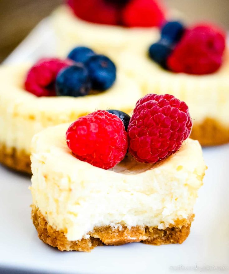 Keto Cheesecake Bites - Creations By Kara