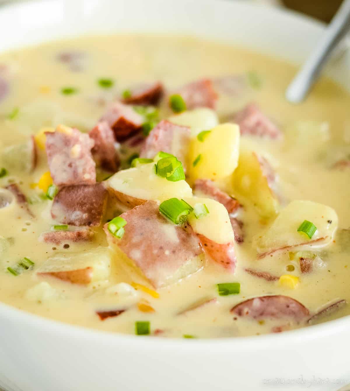 https://www.creationsbykara.com/wp-content/uploads/2023/09/Sausage-Potato-Soup-21-2.jpg