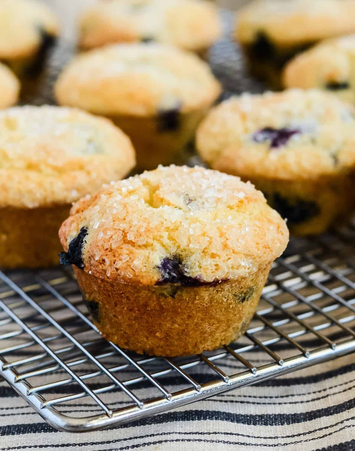 Sour Cream Blueberry Muffins Recipe - Creations by Kara