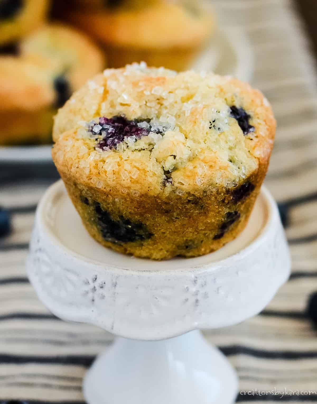 classic blueberry muffin with a sugared muffin top