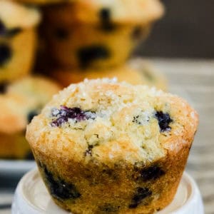 classic blueberry muffin with sour cream