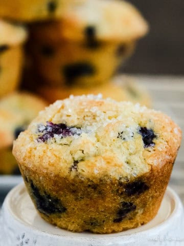 classic blueberry muffin with sour cream