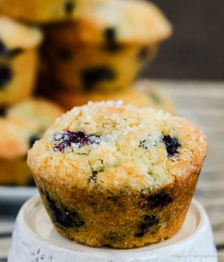 classic blueberry muffin with sour cream