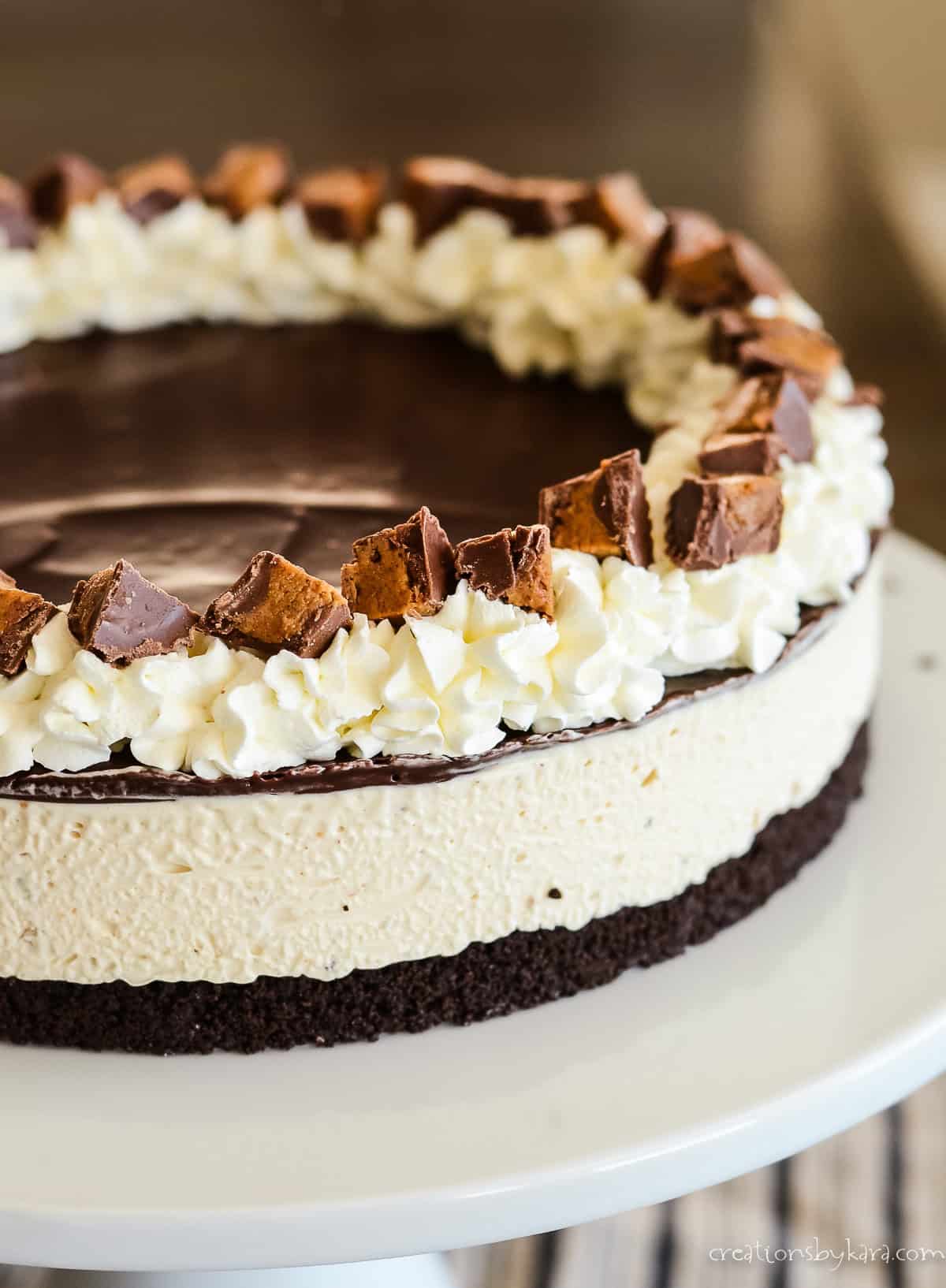 reese's peanut butter cup ice cream cake