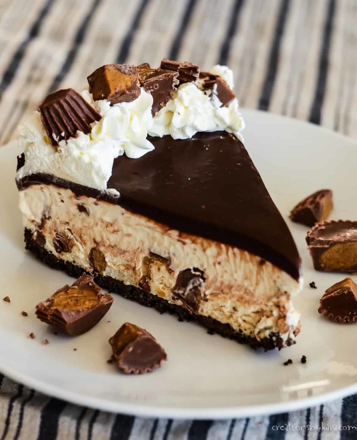 Reese's Peanut Butter Ice Cream Cake Recipe