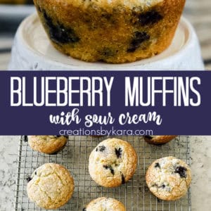 blueberry muffins with sour cream