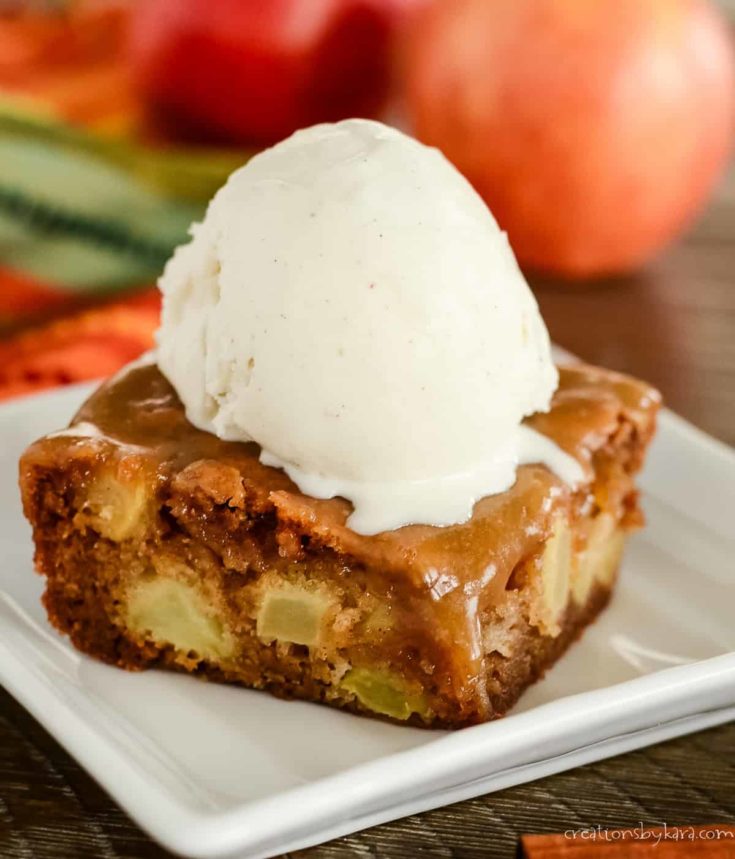 Apple Cake Recipe with Oil