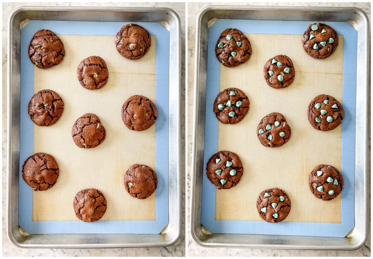 chocolate mint chip cookies on cookie sheets