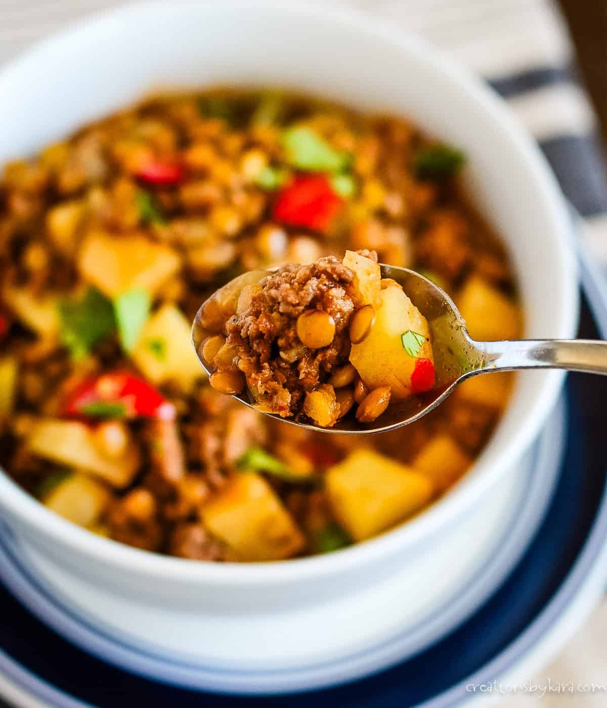 spoonful of sausage lentil stew